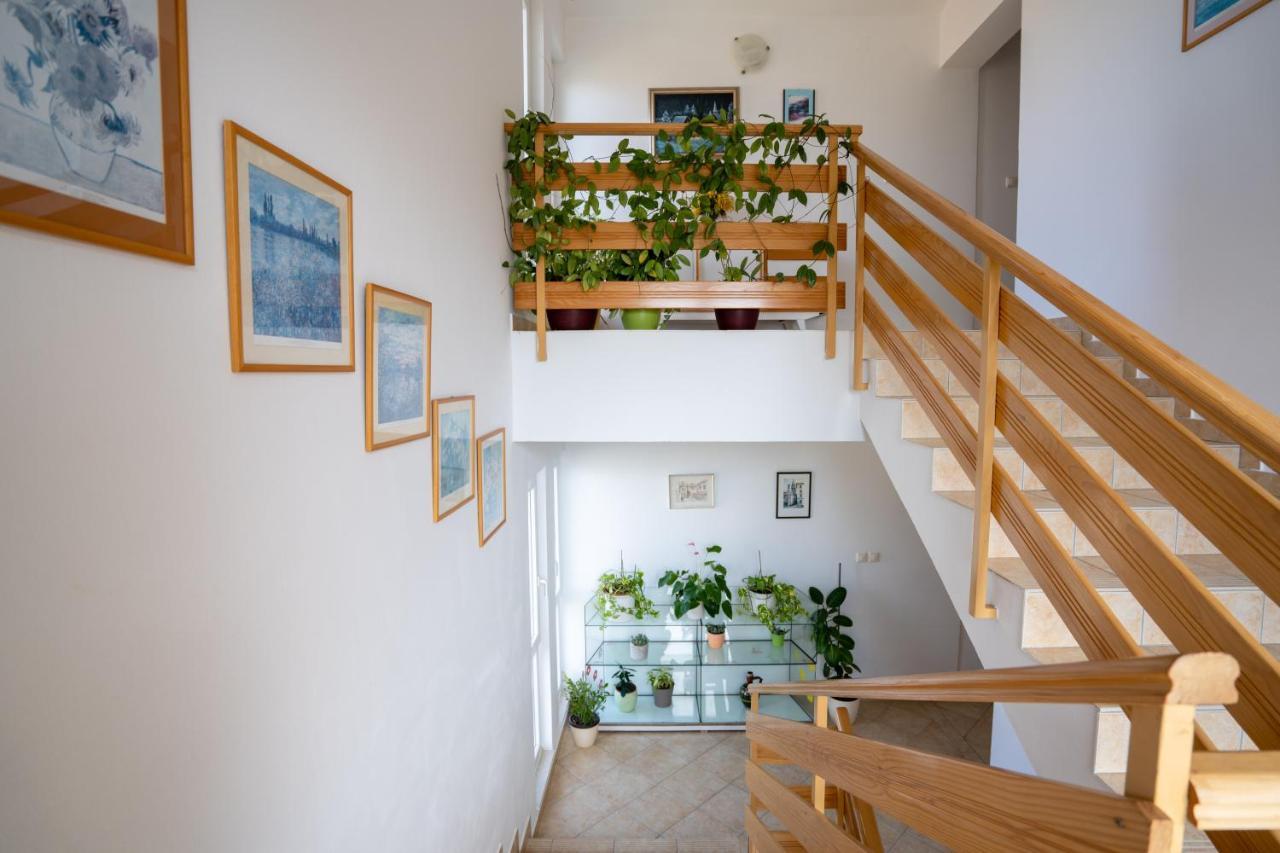 Apartments Valentin Privlaka  Εξωτερικό φωτογραφία